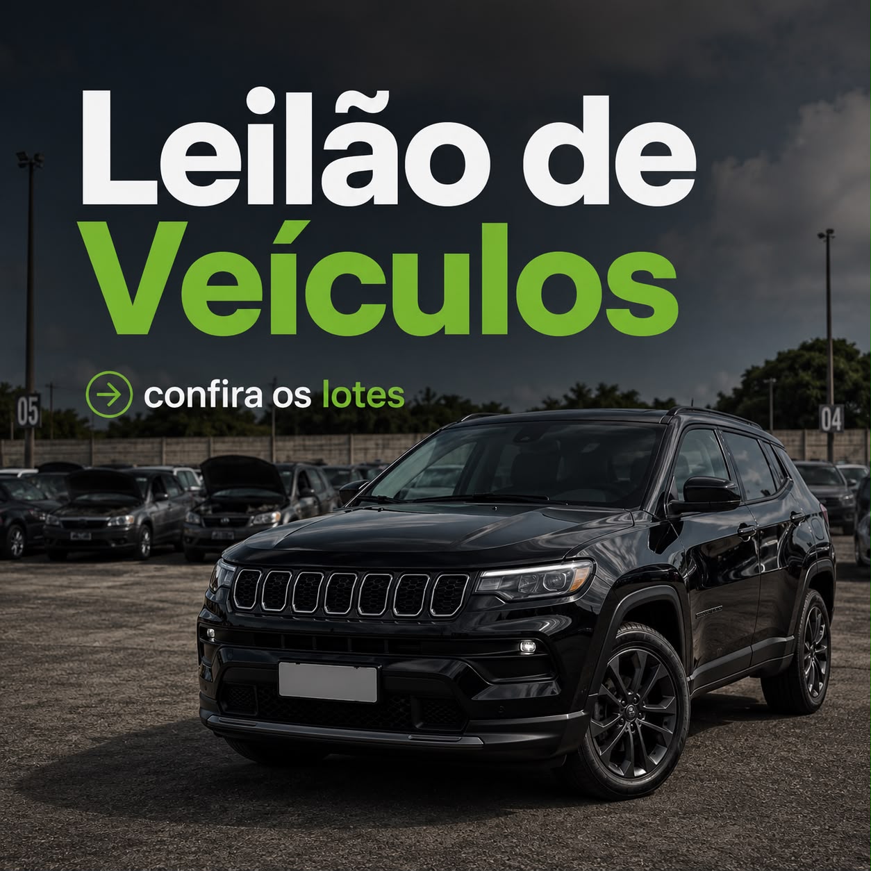 Leilão de Veículos